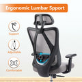 Ergonomic Office Chair - Chilazexpress Ltd