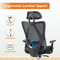 Ergonomic Office Chair - Chilazexpress Ltd