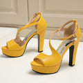 Roman Shoes With Thick Heels For Women - Chilazexpress Ltd