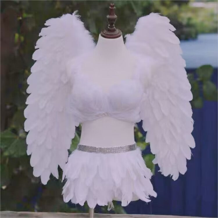 Performance And Show Feather Wings Set