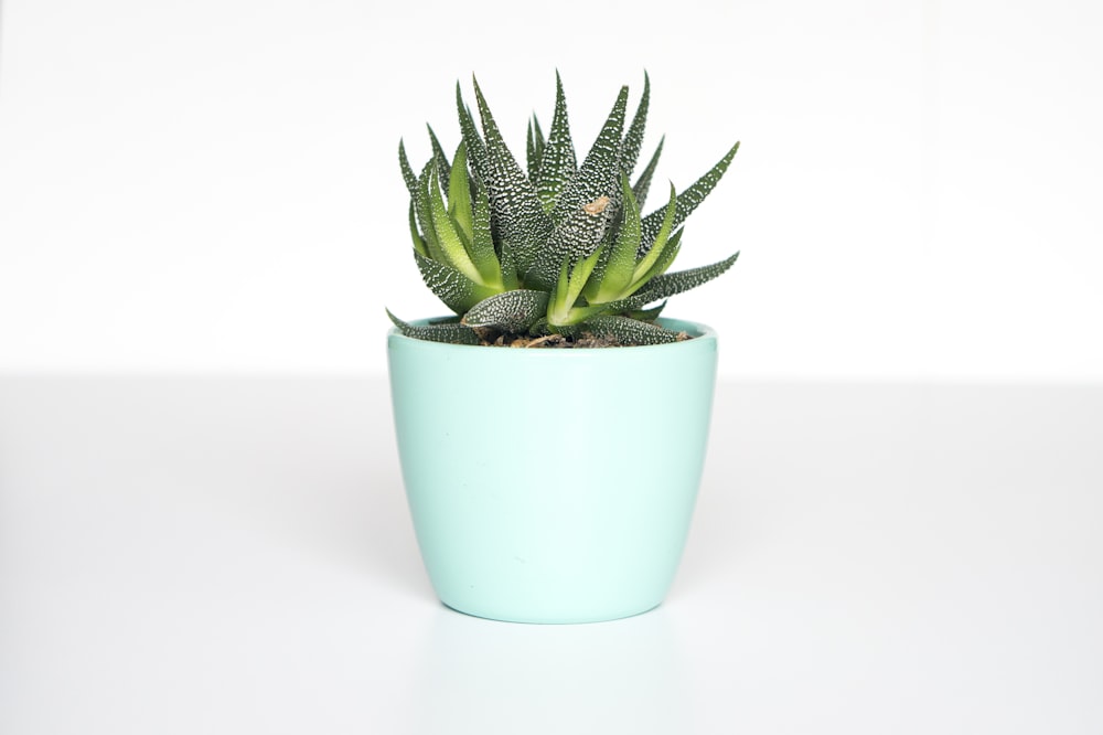 Self-Watering Vertical Garden Planter
