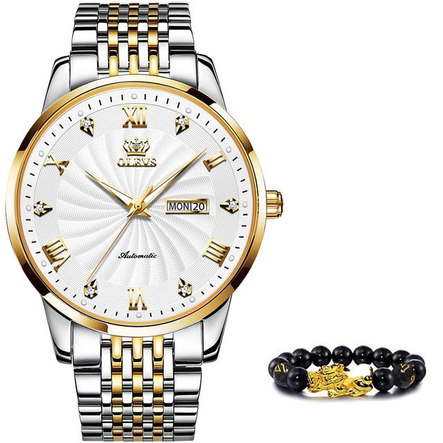 Men Mechanical Watch Top Brand Luxury Automatic Watch