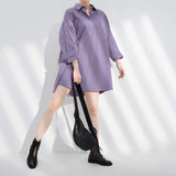 Women Purple Brief Oversized Long Blouse