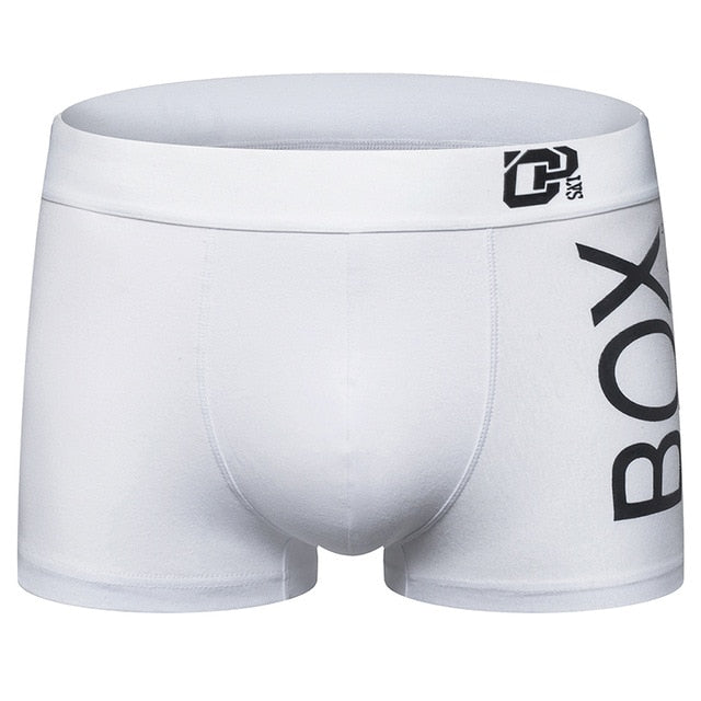 Trunk Men's Boxers Cotton Sexy Men Underwear