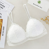 Female Solid Color Embroidery Lace Underwear Thin Section Bra